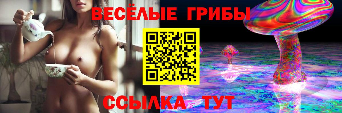 Галлюциногенные грибы MAGIC MUSHROOMS  Псилоцибиновые грибы Psilocybe  Вход с VPN  Салават 